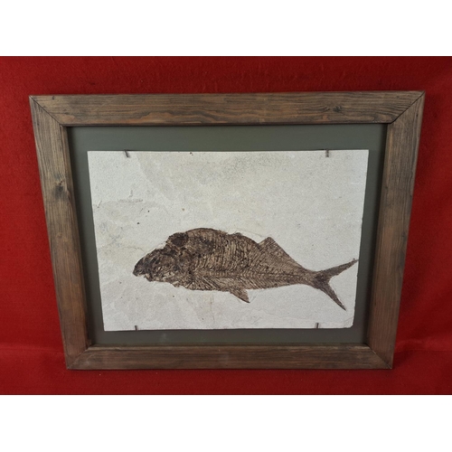 Lot 165       