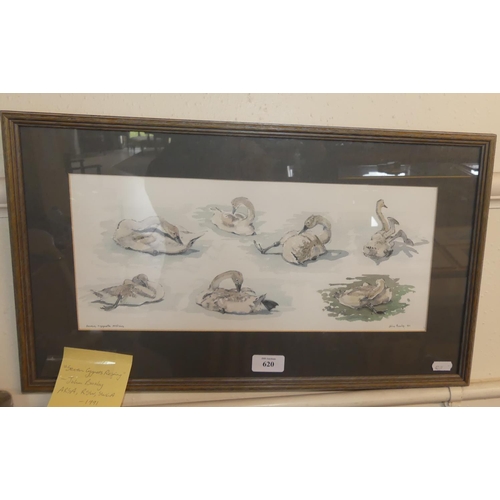 620 - Framed Watercolour - Seven Cignets Resting by John Busby ARSA, RSW, SWLA - measuring approx 41 x 17c... 