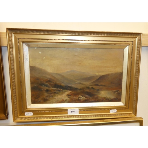 597 - Framed Oil on Canvas, Highland Landscape, measuring approx 32 x 20cm.