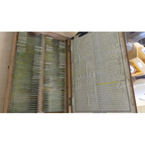 620 - Antique Mahogany Case of Prepared Microscope Slides.