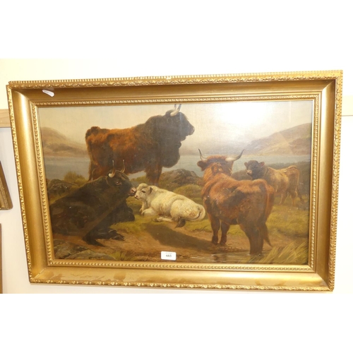 603 - Framed Oil Painting - Highland Cattle, measuring approx 65 x 40cm.