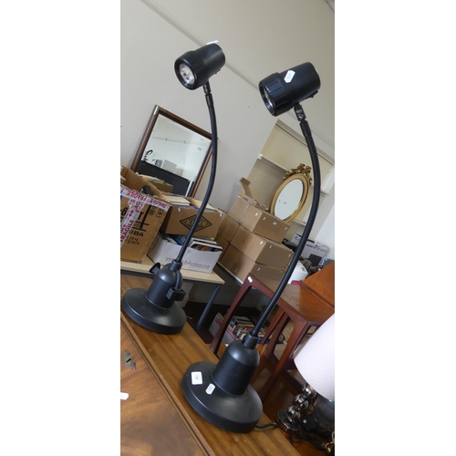 138 - Pair Seriousreaders Reading Lamps