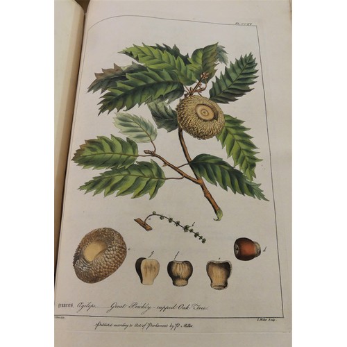 1077 - Philip Miller F.R.S Gardeners Dictionary in Two Vols 1809 - Figures of Beautiful, Useful and Uncommo... 