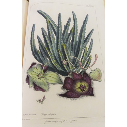 1077 - Philip Miller F.R.S Gardeners Dictionary in Two Vols 1809 - Figures of Beautiful, Useful and Uncommo... 