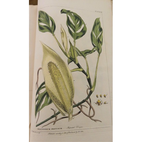 1077 - Philip Miller F.R.S Gardeners Dictionary in Two Vols 1809 - Figures of Beautiful, Useful and Uncommo... 