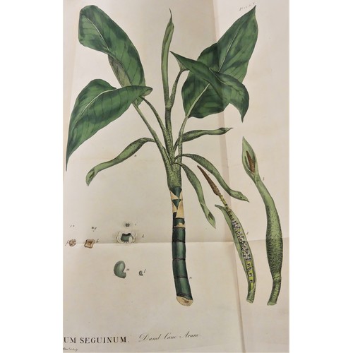 1077 - Philip Miller F.R.S Gardeners Dictionary in Two Vols 1809 - Figures of Beautiful, Useful and Uncommo... 