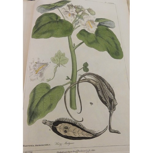 1077 - Philip Miller F.R.S Gardeners Dictionary in Two Vols 1809 - Figures of Beautiful, Useful and Uncommo... 