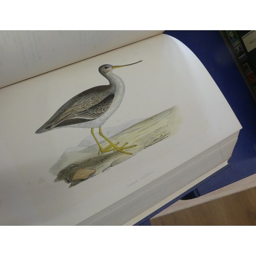 1066 - Four Vols - History of the Birds of Europe - 1867.