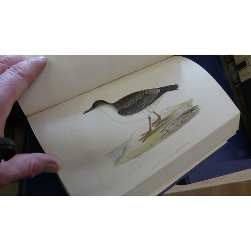 1066 - Four Vols - History of the Birds of Europe - 1867.