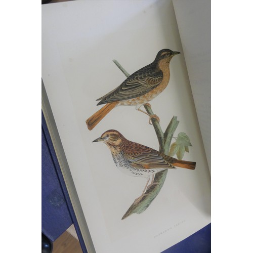 1066 - Four Vols - History of the Birds of Europe - 1867.