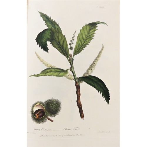 1077 - Philip Miller F.R.S Gardeners Dictionary in Two Vols 1809 - Figures of Beautiful, Useful and Uncommo... 