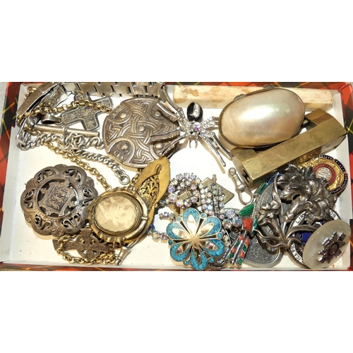 1660 - Tray - Celtic & Scottish White Metal Brooches, MOP Egg Shaped Box & Other Brooches & Badges