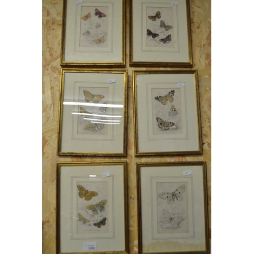 1494 - Set of 6 Framed Antique Coloured Book Plates - Butterfly Studies, measuring approx 9 x 15cm.