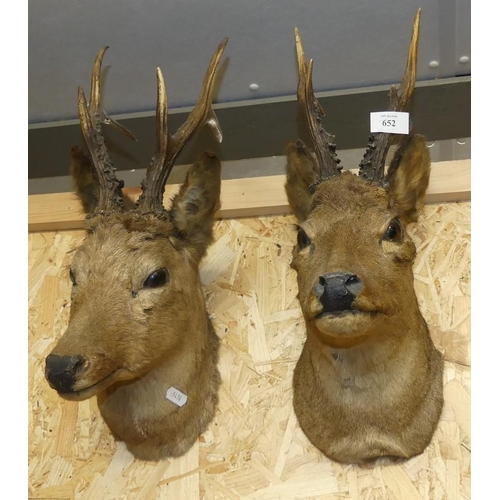 652 - 2 Wall Mounted Deer Heads