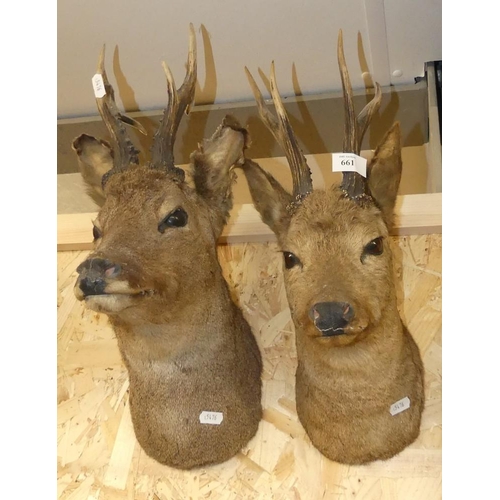 661 - 2 Wall Mounted Deer Heads.