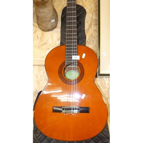 662 - Acoustic Guitar & Carry Case.