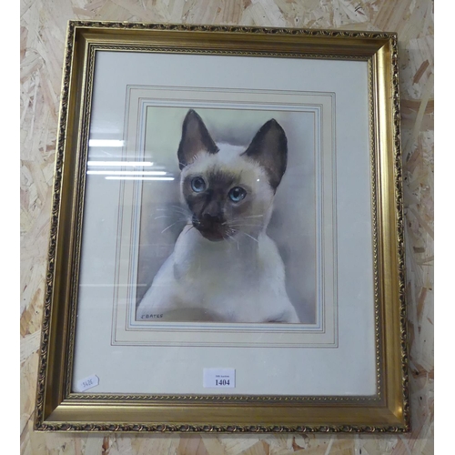 1404 - Framed Watercolour - Study of a Siamese Cat by J Bates, approx 23 x 27cm.