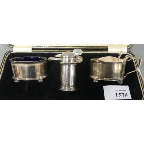 1570 - Birmingham Cased Silver Condiment Set.