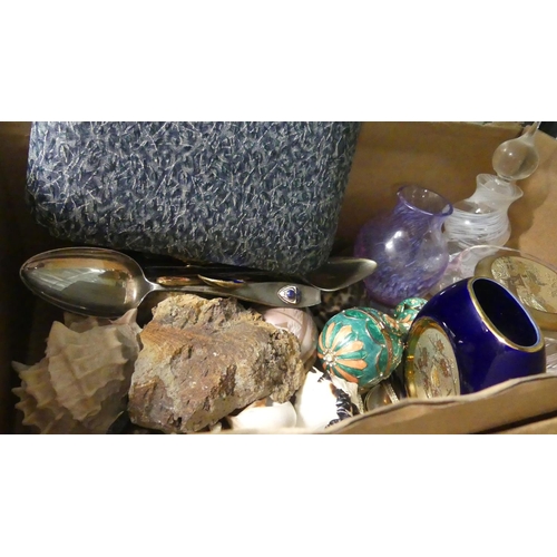 1014 - Box - Sea Shells, Rock Specimens, Glass etc.