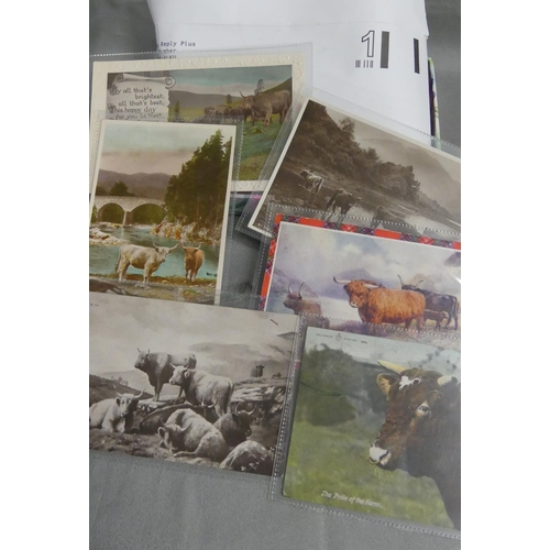 1017 - Tray Lot - Postcards & Postage Stamps.