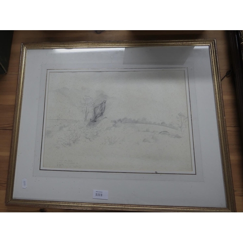 1111 - Framed Pencil Drawing of a Grouse in Landscape, approx 39 x 28cm.