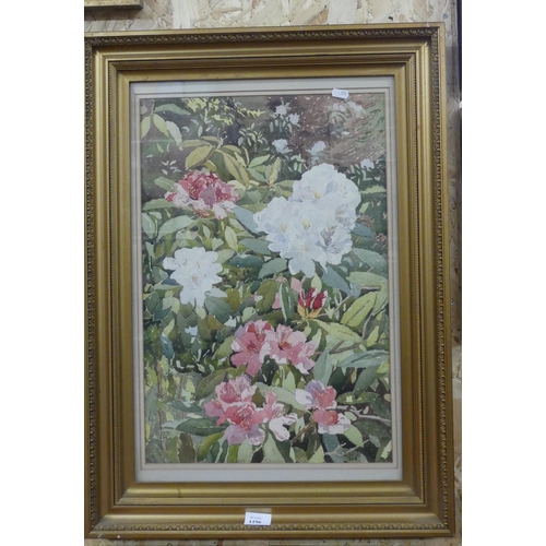 1196 - Framed Watercolour - Rhododendron, Monogram Sig L.H.C.A, dated 1936, approx 37 x 55cm.