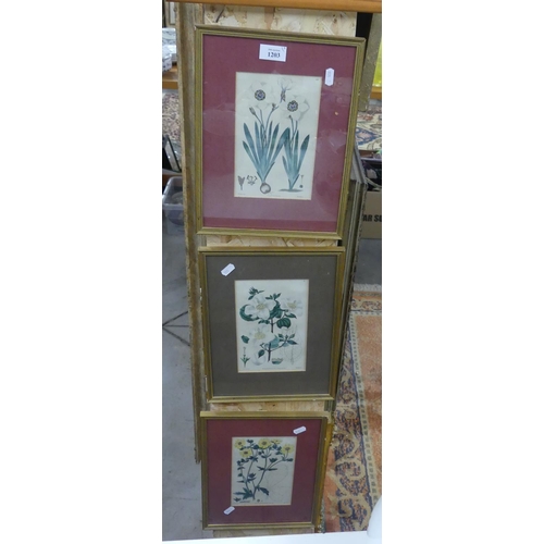 1203 - Three Small Framed Botanical Prints.