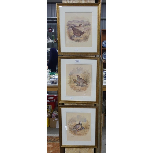 1207 - Three Signed Ltd Edition Prints by Sue Whitaker, Gamebirds.