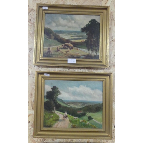 1214 - Small pair of Framed Oil Paintings - Extensive Landscapes Signed Charles Hornsley Sen, approx 26 x 2... 