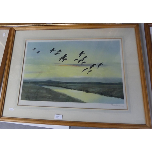 1411 - Framed Signed Peter Scott Print - Greylag Geese in Flight, approx 53 x 35cm.