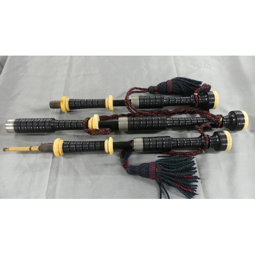 1406 - Pair of Scottish Bagpipes with Nickel Plated Mounts in Wooden Carrying Box.