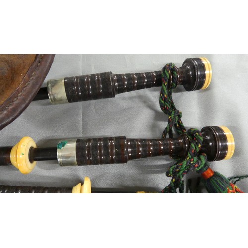 1407 - Pair of Scottish Bagpipes with Nickel Plated Mounts in Wooden Carrying Box.