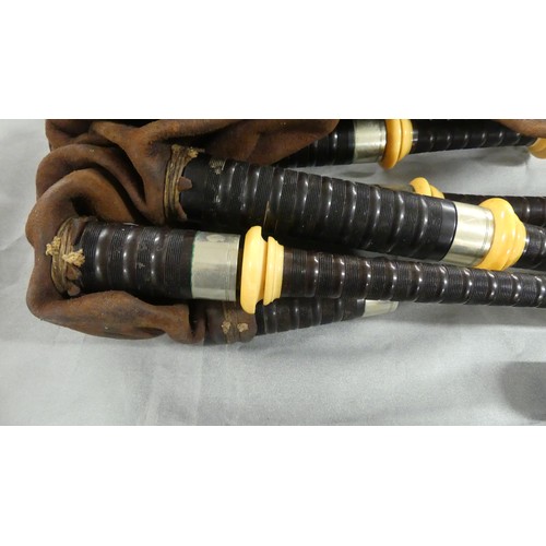 1407 - Pair of Scottish Bagpipes with Nickel Plated Mounts in Wooden Carrying Box.