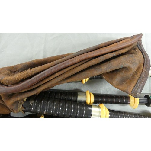 1407 - Pair of Scottish Bagpipes with Nickel Plated Mounts in Wooden Carrying Box.