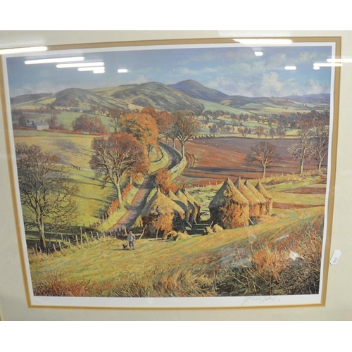 768 - Signed McIntosh Patrick Print.