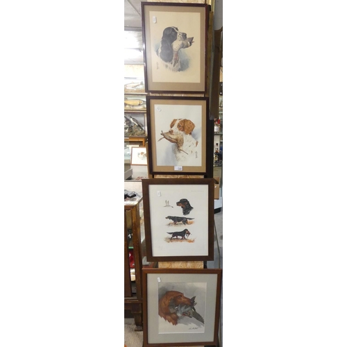 1480 - Four Framed Prints of Gundogs.