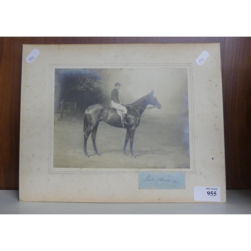 955 - Racehorse & Jockey Photograph Circa 1900 - approx 20 x 15cm.