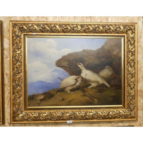 1614 - Framed Oil on Board - Ptarmigan by I C Bell 1860, approx 75 x 55cm.