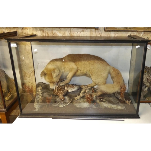 1650 - Large Cased Taxidermy Specimen of a Red Fox  & Grouse, approx 104 x 40 x 66cm.