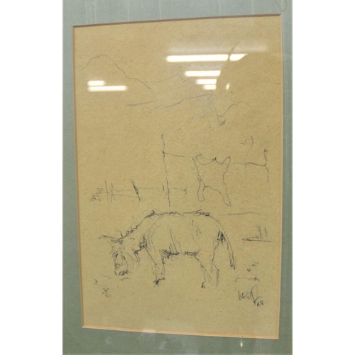 2799 - Framed Drawing Of Donkey, signed.