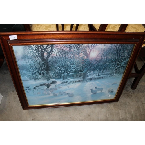 3060 - Framed Print.