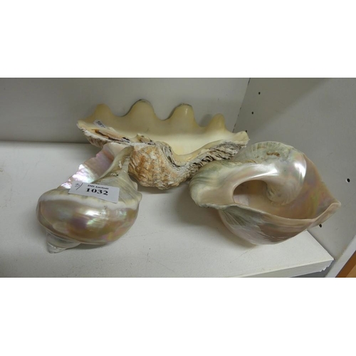 1032 - Three Seashells - Clam & two polished MOP.