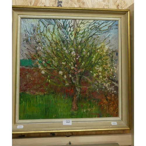 1069 - Framed Oil Painting - Garden Scene, signed Sam Rae 1971, approx 44 x 44cm.