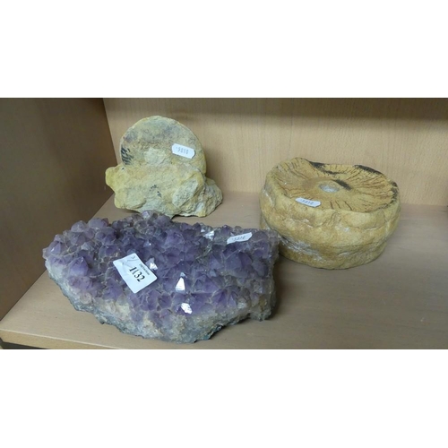 1132 - Fossil, Large Fish Vertebrae & Amethyst Specimen.