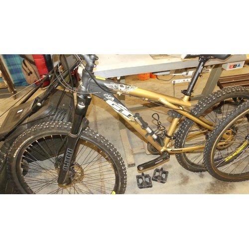 31 - G.T Men's Mountain Bike