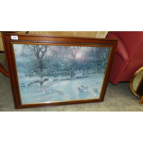 3060 - Framed Print.