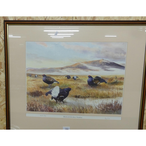 1504 - Framed Print Entitled 