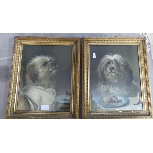 1543 - Pair of Framed Lithographic Dog Prints, approx 24 x 32cm.