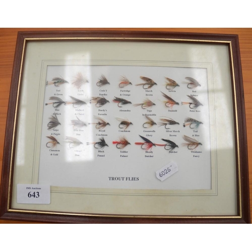 643 - Framed Set Of Fishing Flies