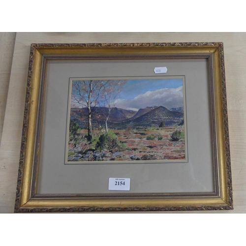 2154 - Framed Pastel Drawing 